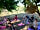 Pergamon Permaculture: Yoga session