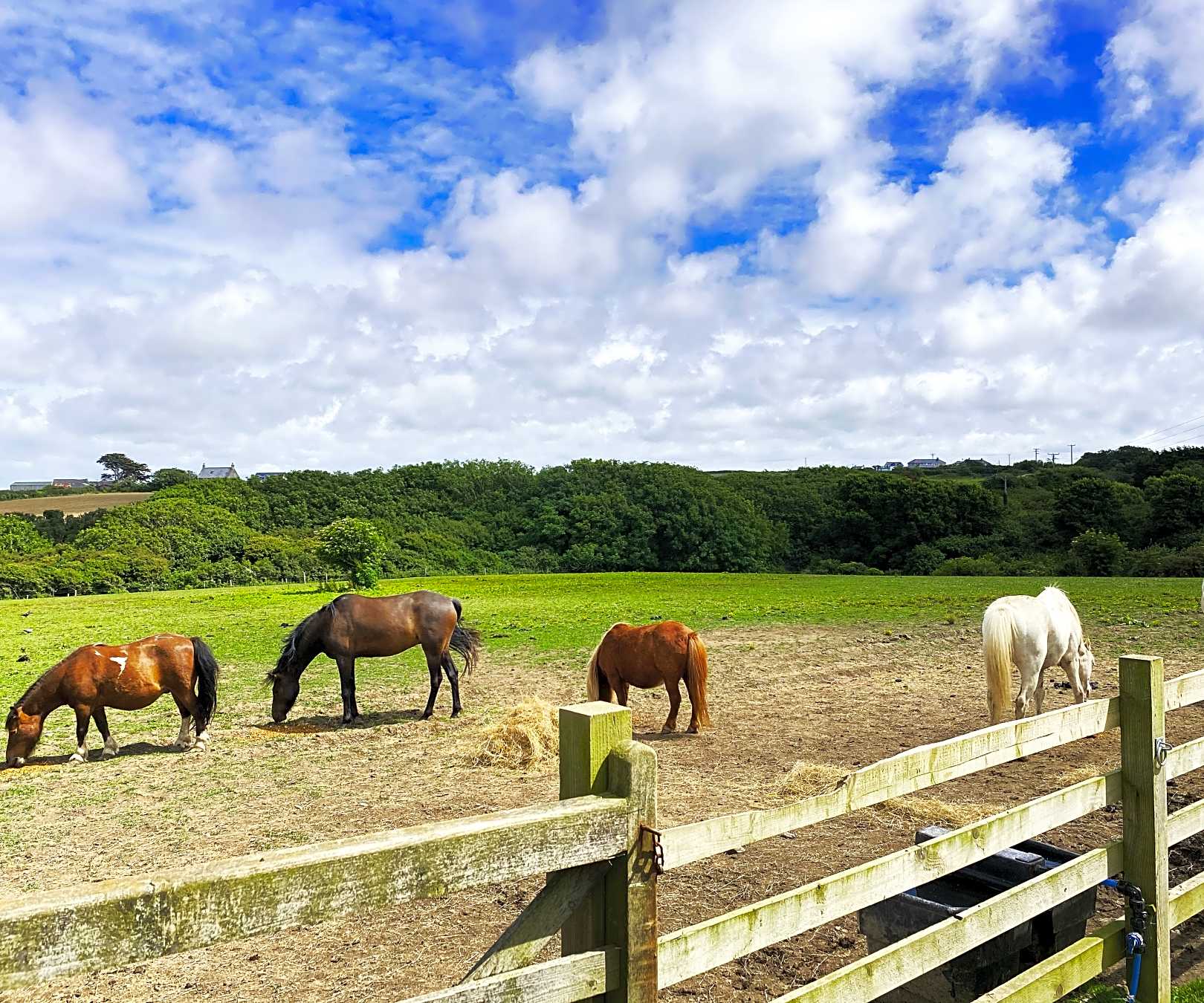 Macdonald's Farm Touring and Camping, Padstow Pitchup®