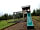 Bowland Wild Boar Park