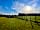 Lilliardsedge Holiday Park: Morning sunshine (photo added by andrew_e150512 on 25/05/2021)