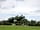 Bluebell Farm: Trees around the pitches
