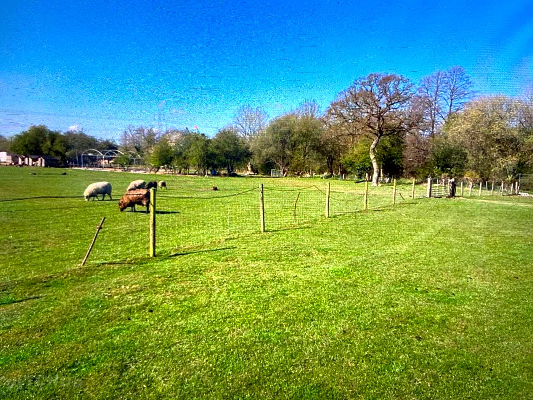 Springbridge Farm, Eastleigh Updated 2021 prices Pitchup®