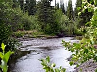 Secluded and quiet park near the creek Secluded and quiet park near the creek