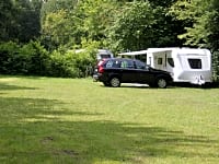 Spacious pitches with shade from the trees Spacious pitches with shade from the trees