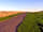 Rowter Farm Campsite