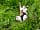 Owley Woods Glamping: Loving the long grass