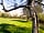 Camping in Frankland: Camping in Frankland
