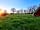 Buckland Farm Camping: Evening at the campsite