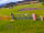 Spring Field Dark Skies Camping: Quiet space (photo added by manager on 17/07/2023)