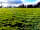 Mowbray Meadow: Camping pitch (photo added by manager on 11/01/2022)