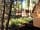 Camping Pod Heaven: Pods in the woods
