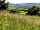 Tor View Glamping: tor