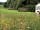 Kingsettle Camping Retreat: Grassy pitches