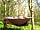 Rockridge: Plenty of trees for hammocking