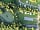 Glebe Leisure: Aerial view of the site and the lakes