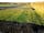 Stockbridge View: Hardstanding pitches, and a road for access to camping