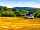 Warminghurst Camping: Visitor image of their pitch and views (photo added by manager on 10/10/2022)