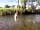 Riverside Caravan and Camping Park: Splashing about in the river