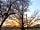 Lower House Farm: Sunset over the campsite