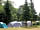 Forest Glade Holiday Park: Grass pitches