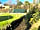 Calloose Caravan Park: A cul de sac of gravel pitches surrounded by the natural stream running through the park