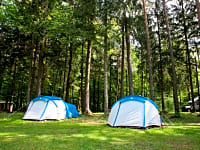 The rental tents The rental tents