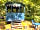 Wrekin Forest Events Camping