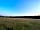 Wolford Wood