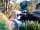 Lincomb Lock Caravan Park: Walk north towards Stourport on severn along the canal, past small marina and some amazing boats (photo added by  on 11/09/2015)