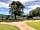 Haldon Forest Holiday Park: Big tree (photo added by manager on 08/06/2021)