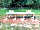 Cricket Field Campsite: Washing area