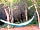 Fire and Stars Woodland Camping