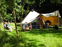Grass pitch surrounded by meadow grass and trees Grass pitch surrounded by meadow grass and trees