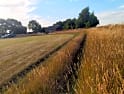 Blisworth campsites