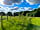 Elizabeth Cottage Camping