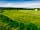 Bonnybridge Eco Camping and Glamping: Extra-large tent pitch