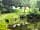 Yomer Wood Camping: Pondside group camping