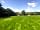 Alderwood Glamping: Pure tranquility