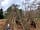Small Trees Campsite: Who doesn’t love a stick fort?