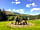 Eco Camping Wales (a kezelő által 2020.07.20. napon hozzáadott fénykép)
