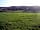 Redlands Farm: CAMP SITE