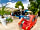 hu Roma Camping in Town: Around the site