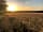 Treetops Farm Holidays: Set deep in the Lincolnshire countryside