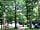 Alpine Grove Touring Park: Woodland track to the pitches