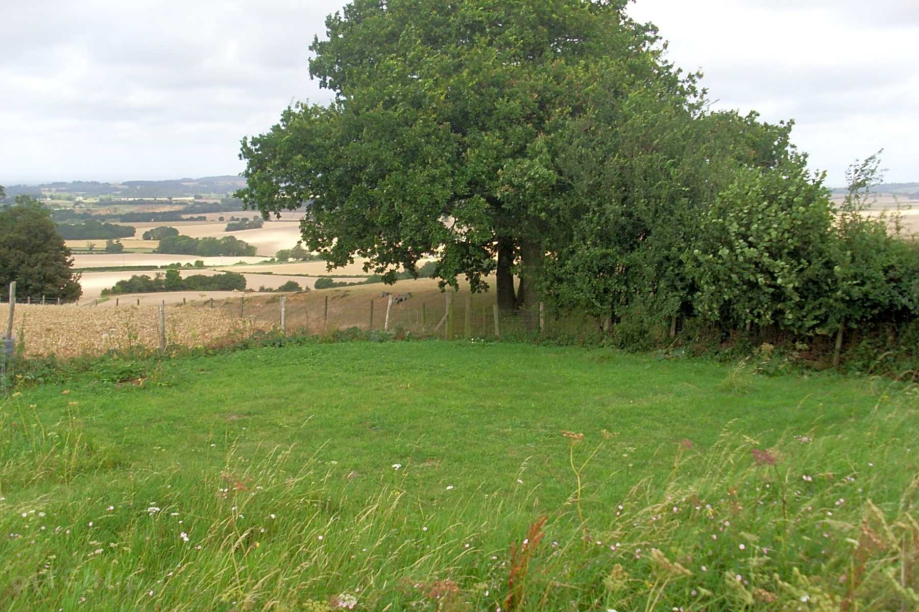 Find Cheap Tent Campgrounds In Kent Pitchup