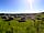 Ream Hills Caravan Park (фото добавлено менеджером 12.08.2016)