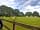 Sussex Topiary Campsite: Grass pitches (photo added by manager on 09/07/2021)