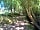 Huckleberry Farm: The hack track and stream (photo added by manager on 18/08/2023)