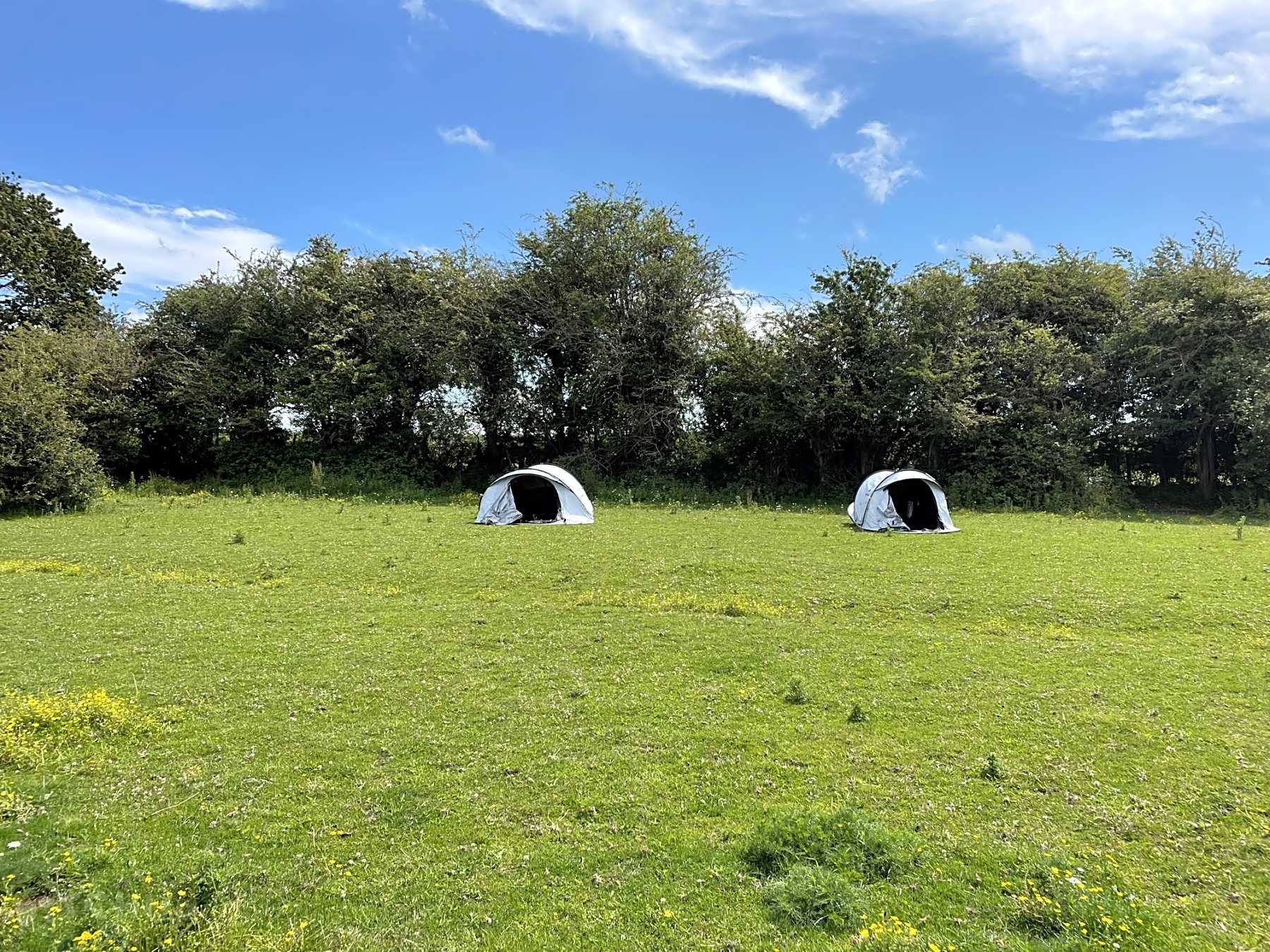 Best Campsites In Emsworth Hampshire 2021 112 Emsworth Hampshire Camping Sites On Pitchup