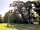 Five Wyches Farm Camping: Non electric pitch (photo added by manager on 06/08/2023)
